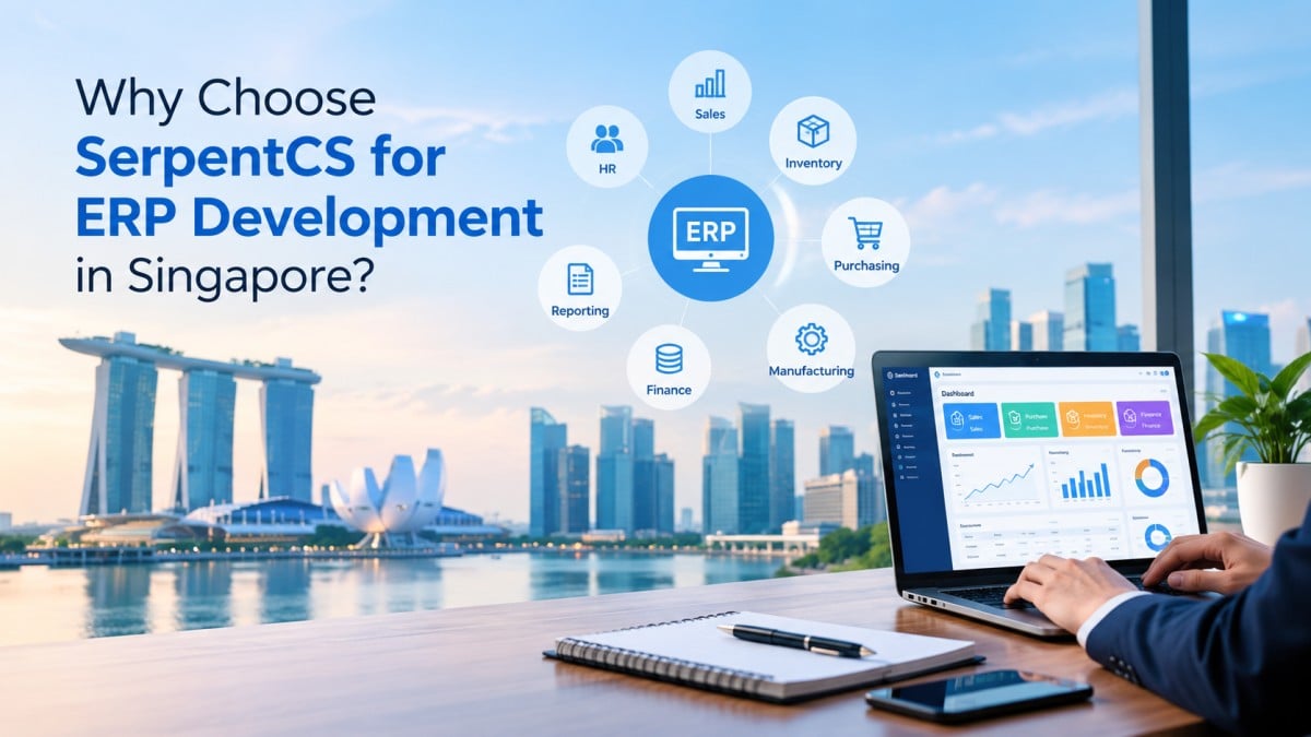 ERP Development in Singapore